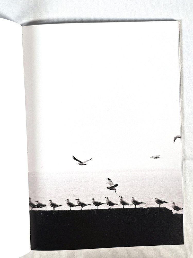 Ombres portées poésie