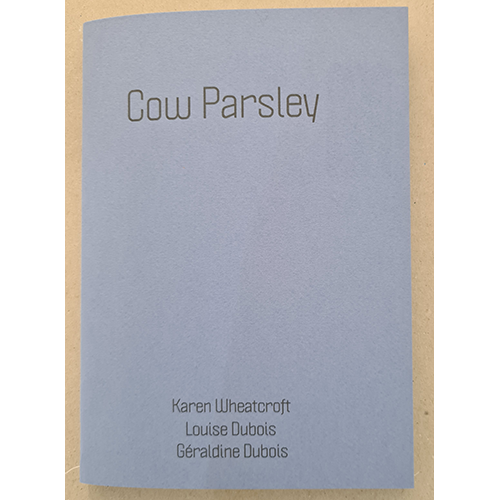 Cow Parsley