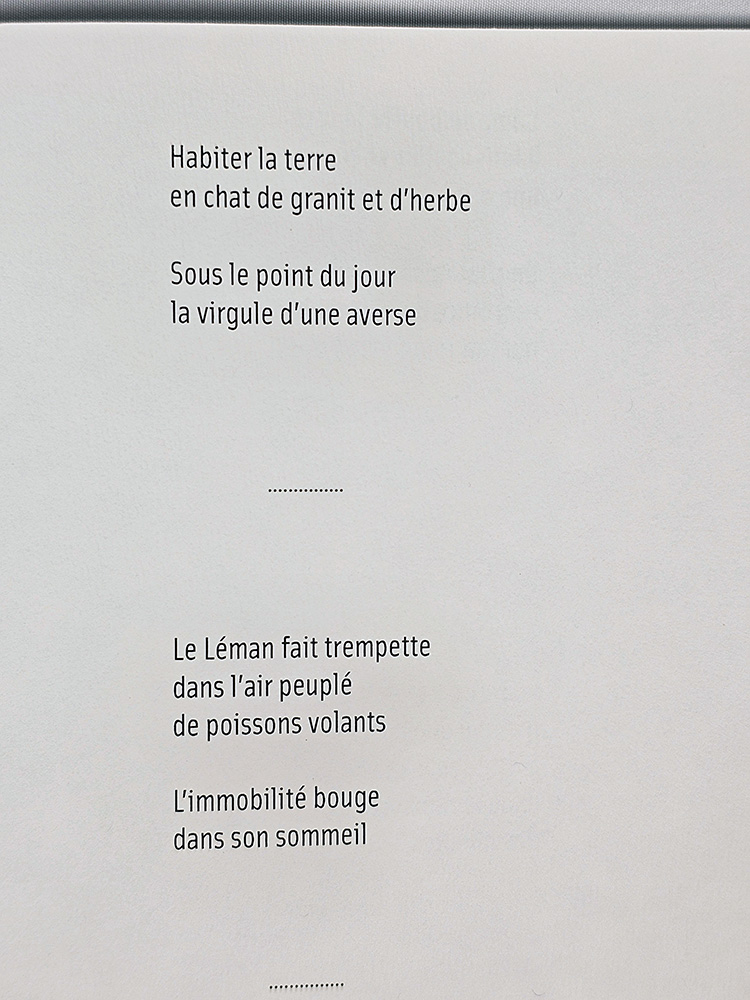 L'essor et la trouée poésie