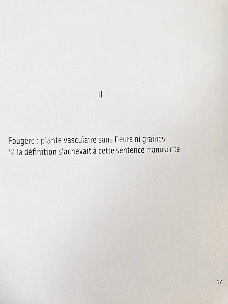 filicaria poésie