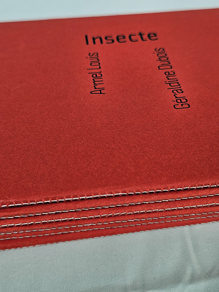 insecte poésie