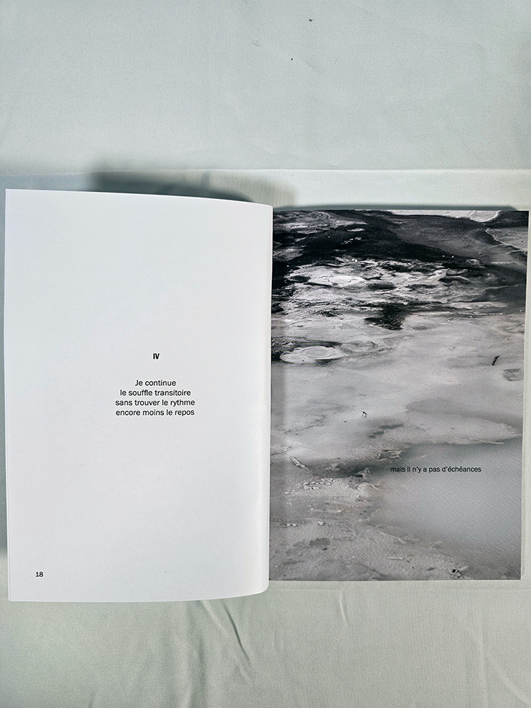 Jusqu'à ce que l'encre vienne poésie