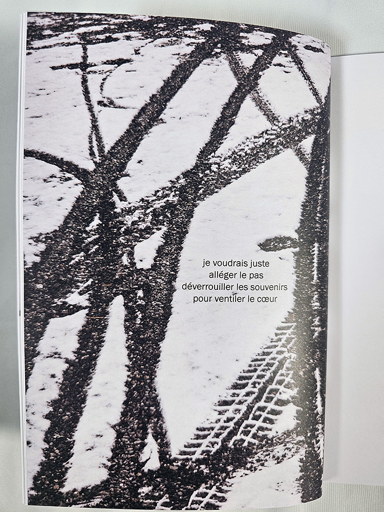 Jusqu'à ce que l'encre vienne poésie