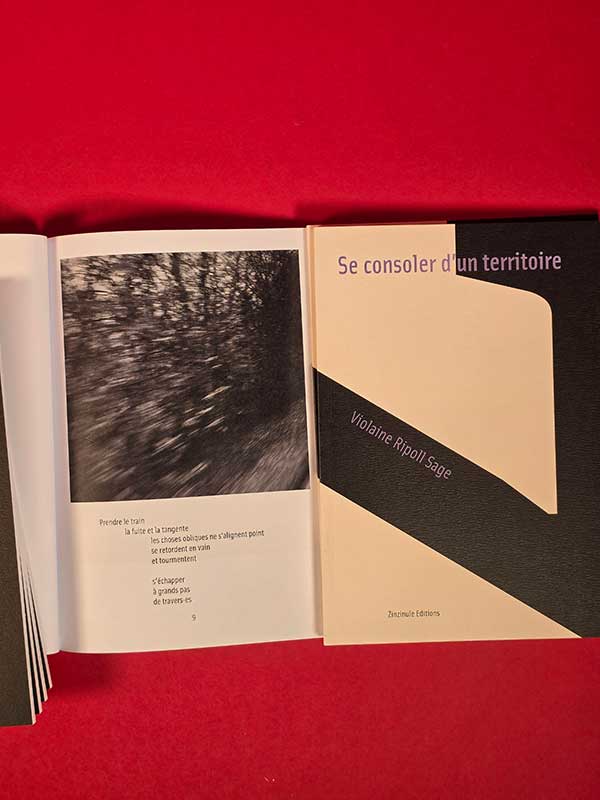 se consoler d'un territoire - poésie et photographie