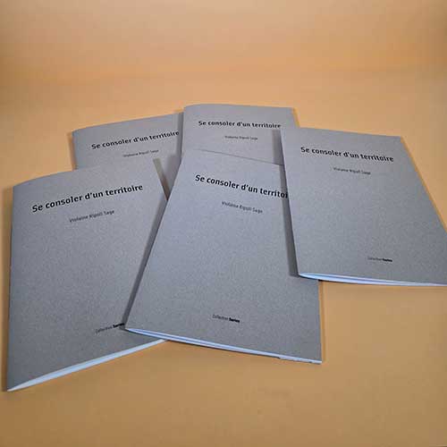 livre d'artiste Se consoler d'un territoire