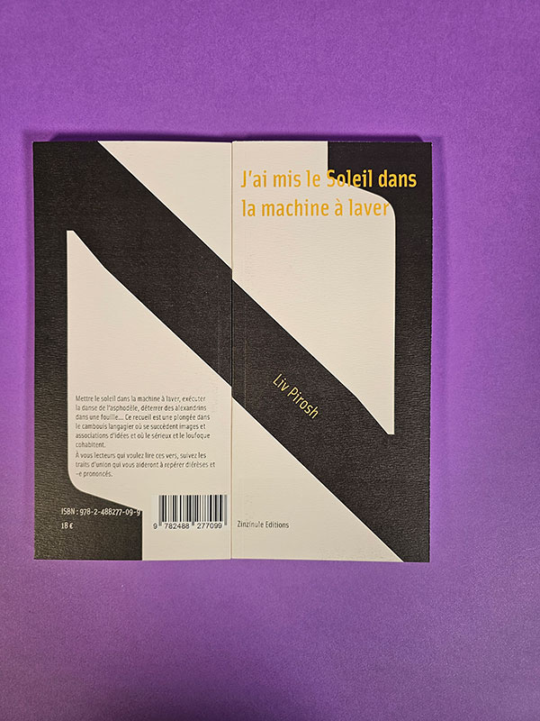 J'ai mis le Soleil sans la machine à laver - poésie et photographie