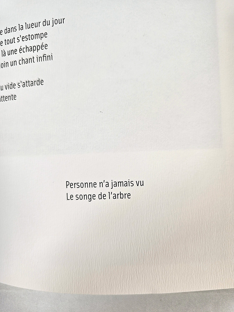 Le songe de l'arbre poésie